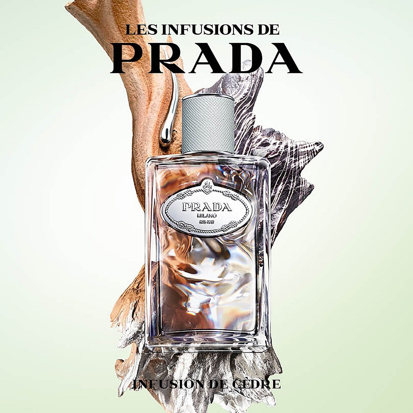 Prada Les Infusions Infusion de Cèdre