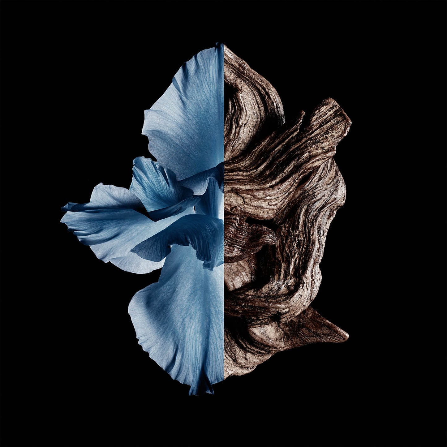 Givenchy Gentleman Givenchy Intense Eau de Toilette