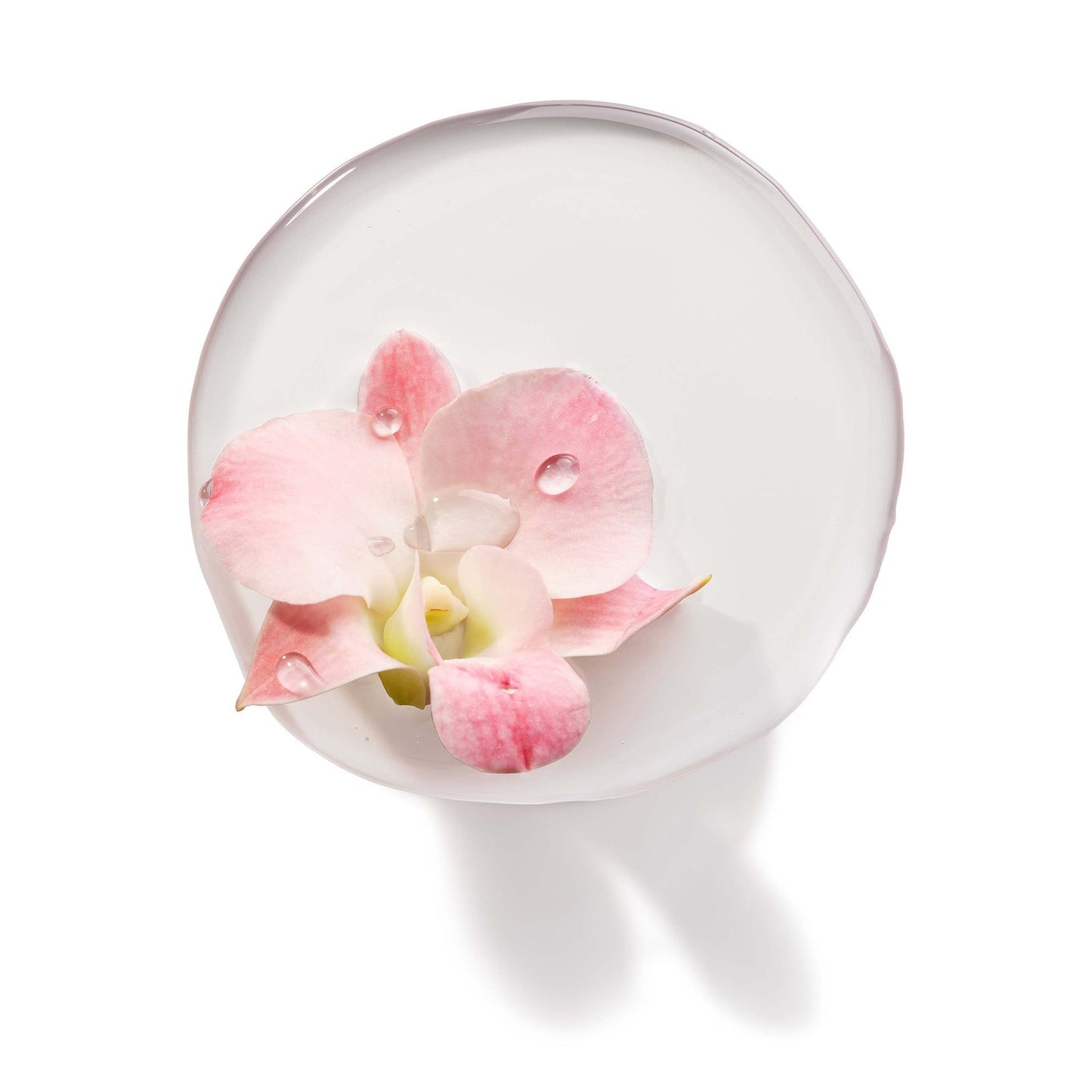 Biolage Colorlast Conditioner Duo