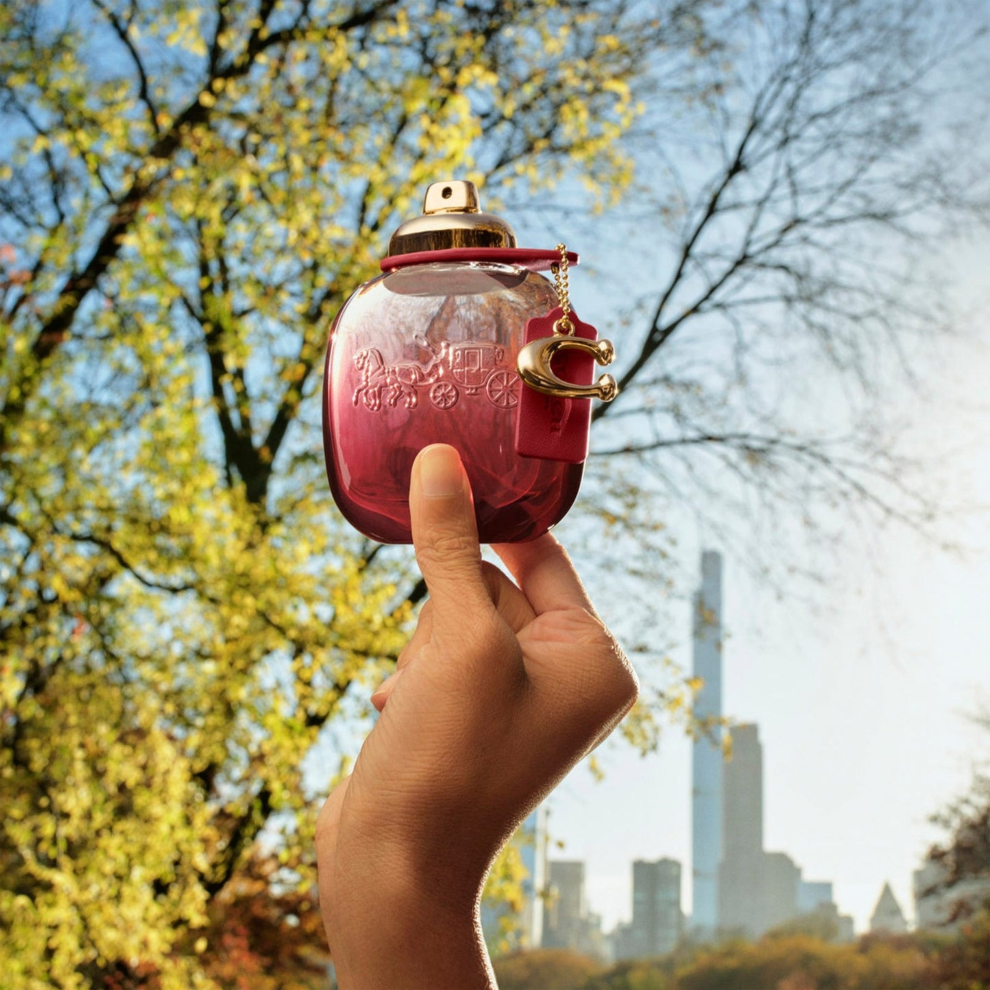 Coach Wild Rose Eau de Parfum 90ml