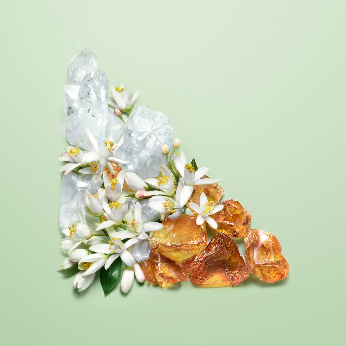 Prada Paradoxe Refillable