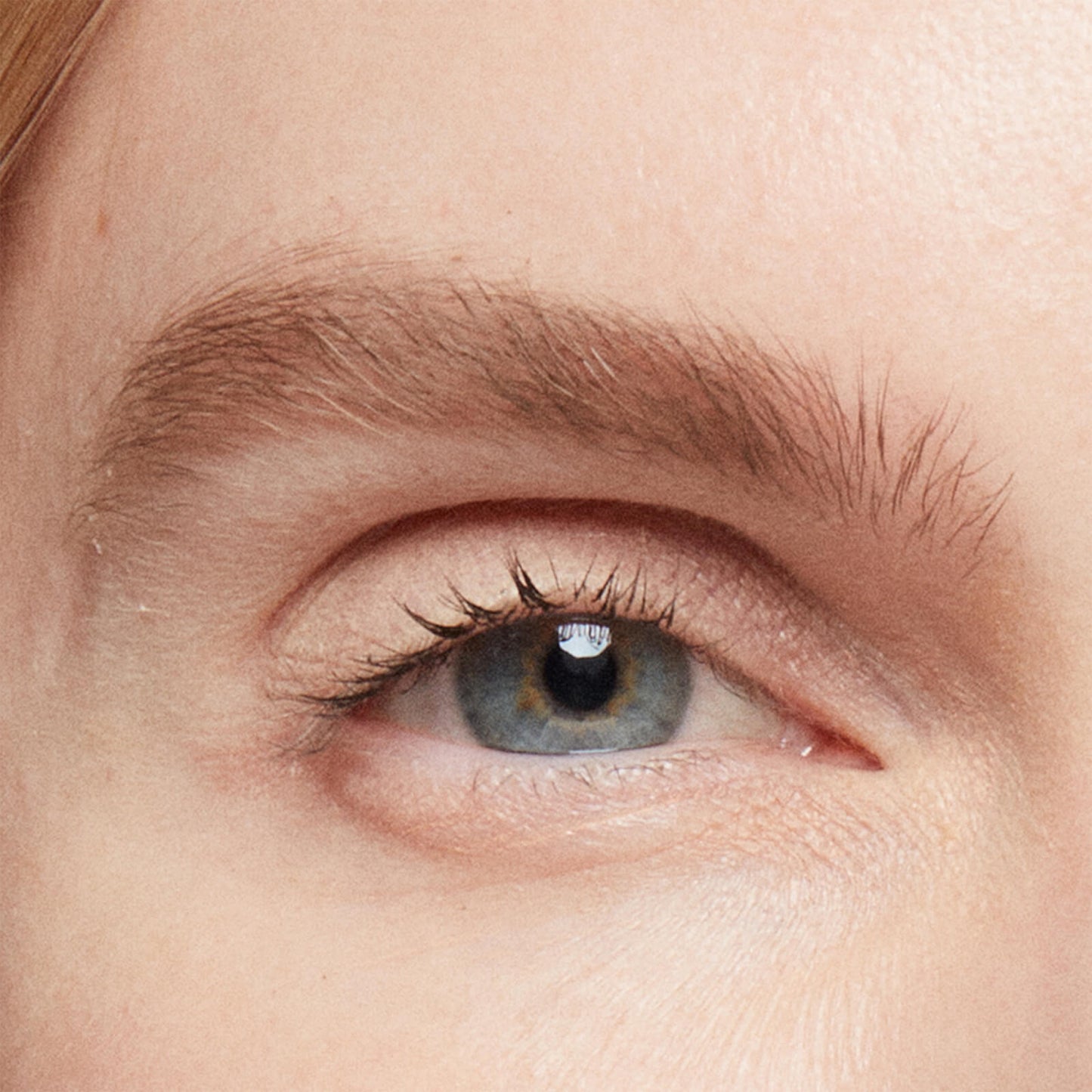 Bobbi Brown Natural Brow Shaper