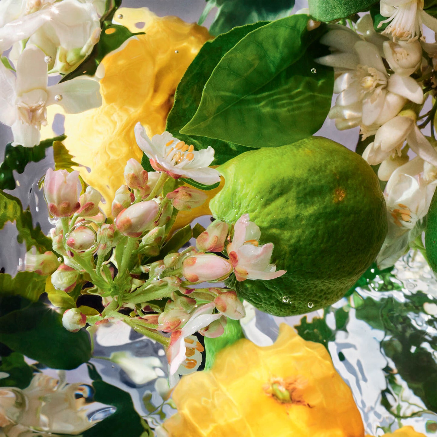 Guerlain Aqua Allegoria Bergamot