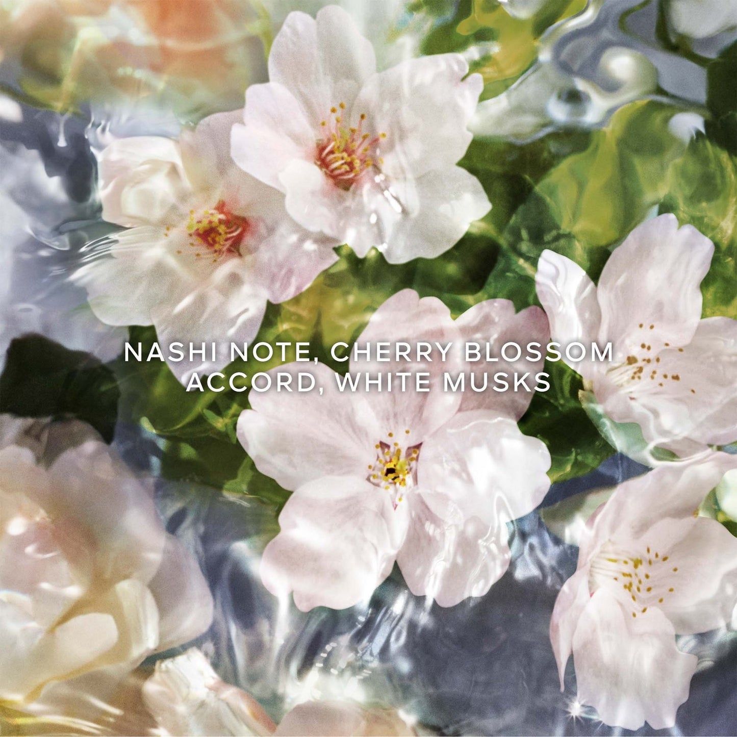Guerlain Aqua Allegoria Flora Cherrysia