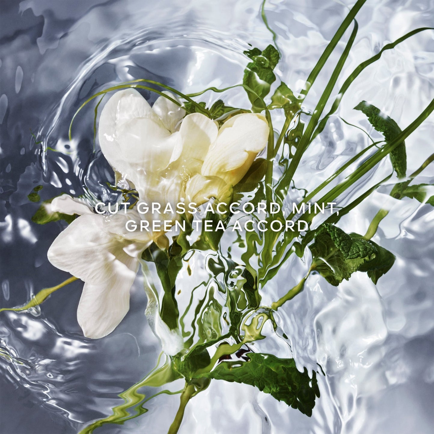GUERLAIN Aqua Allegoria Herba Fresca Eau De Toilette 125ml