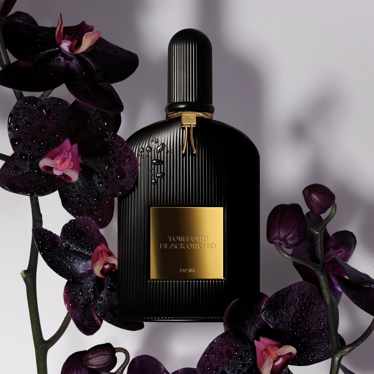 TOM FORD Damesgeuren Black Orchid Eau de Parfum