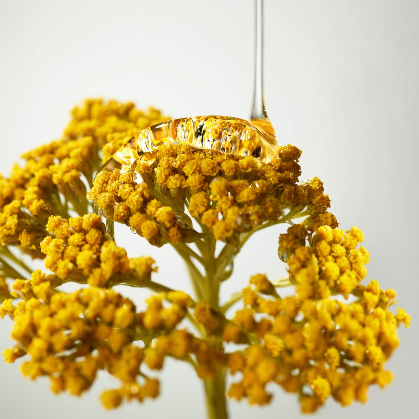 Origins Plantscription™ Wrinkle Correction Eye Cream With Encapsulated Retinol