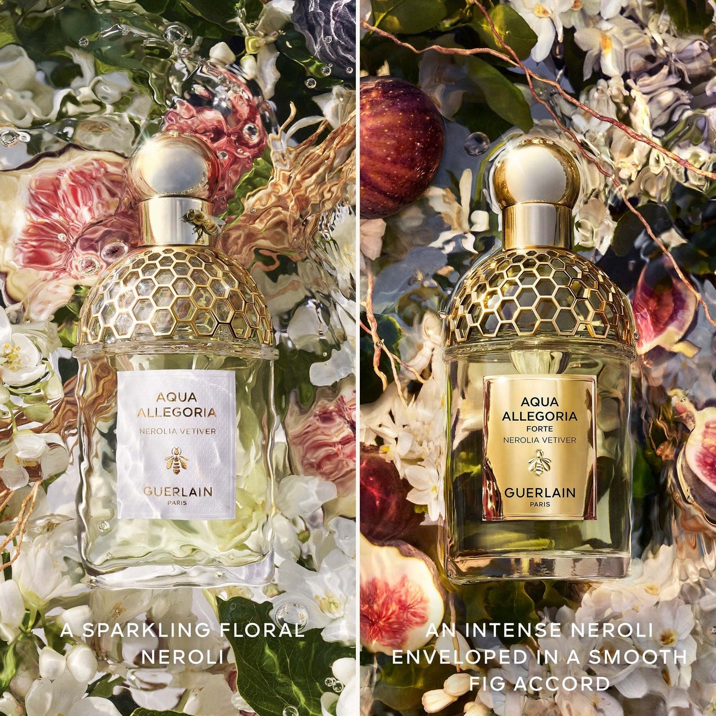 Guerlain Aqua Allegoria Nerolia Vetiver Forte Eau de Parfum