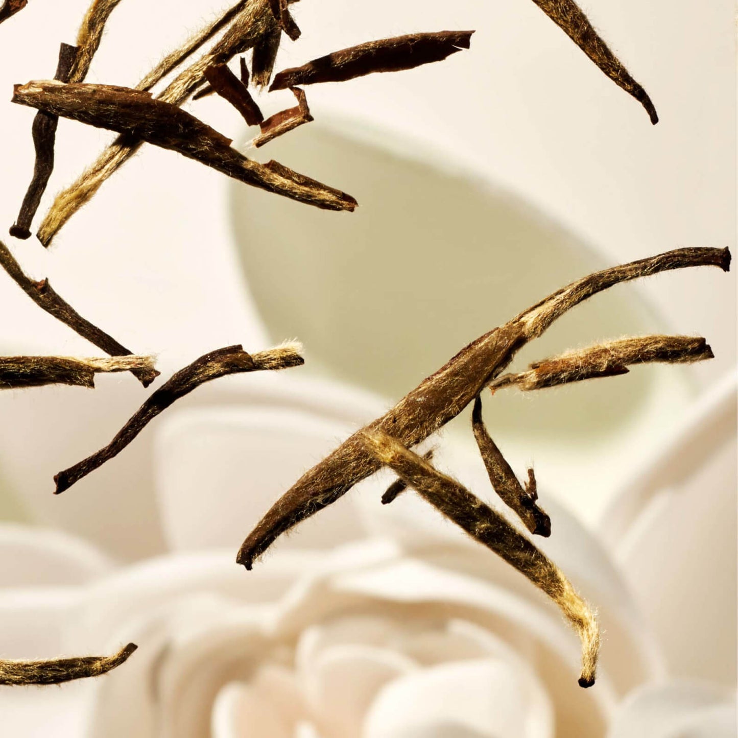 Softening Body Scrub