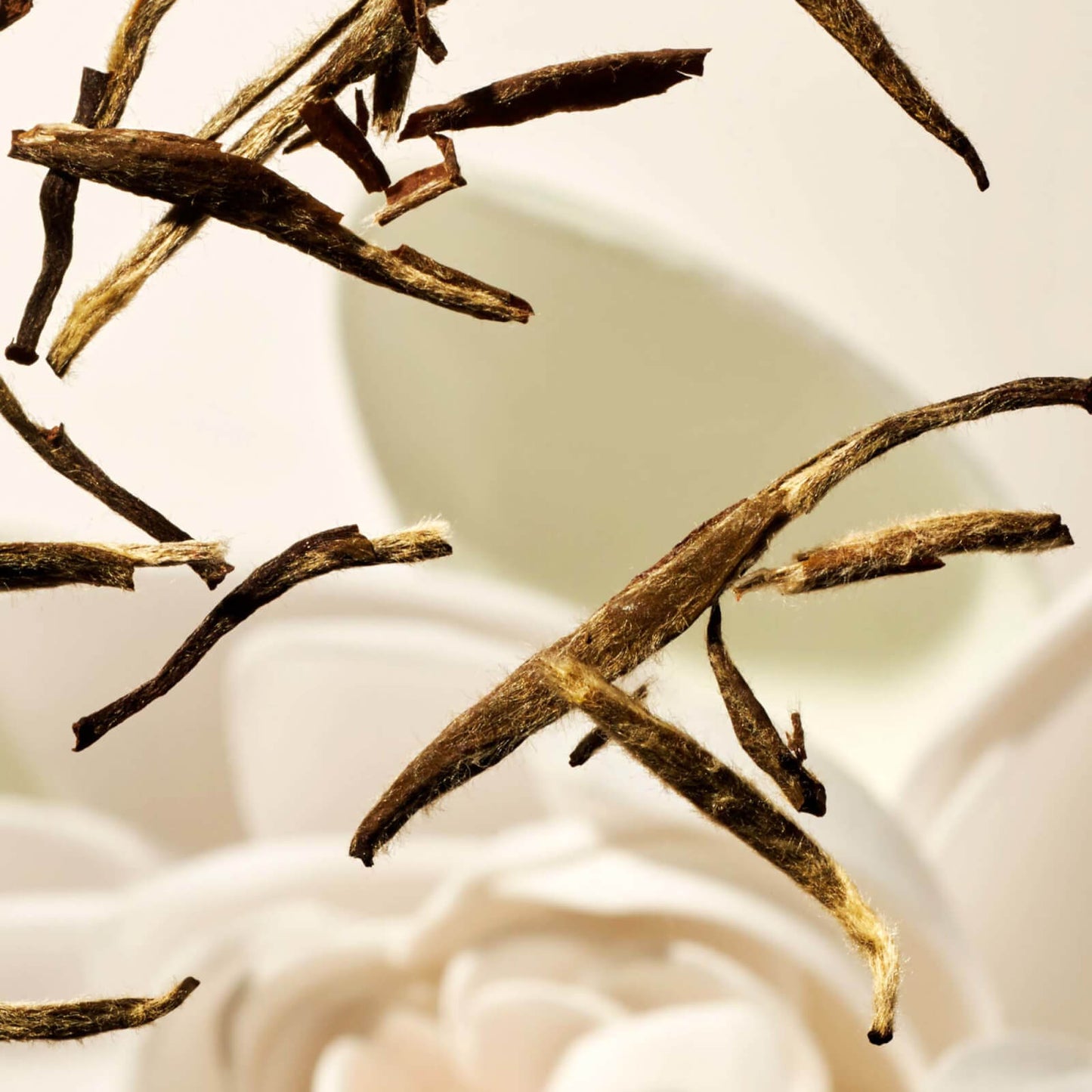 Rituals The Ritual of Karma Delicately Sweet Lotus & White Tea Sun Trial Set