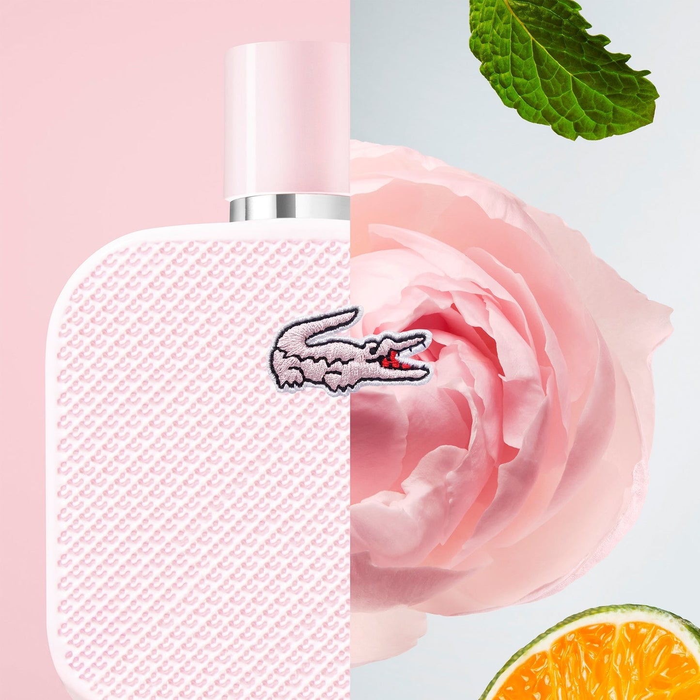 Lacoste L.12.12 Rose