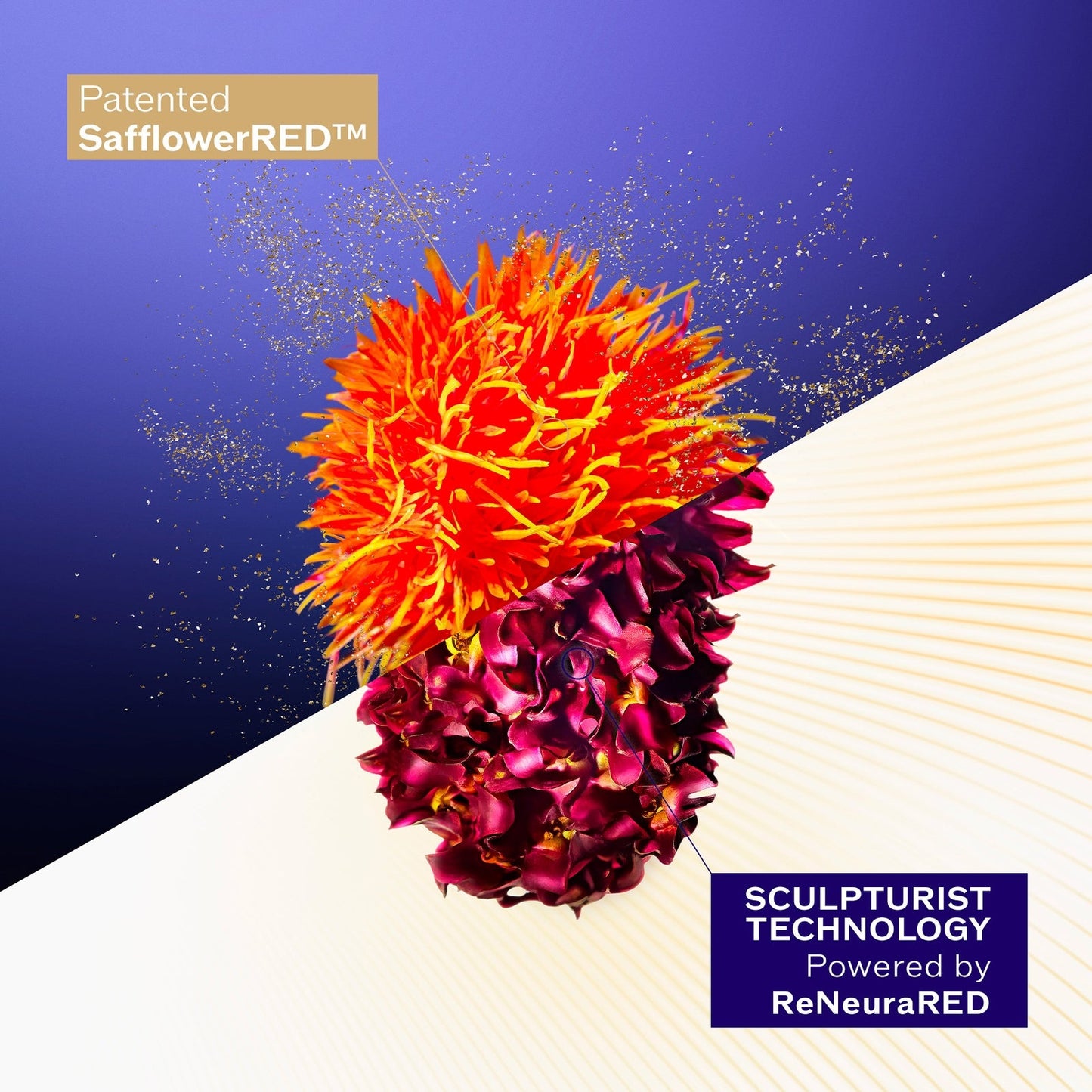 Shiseido Vital Perfection Supreme Cream 50ml