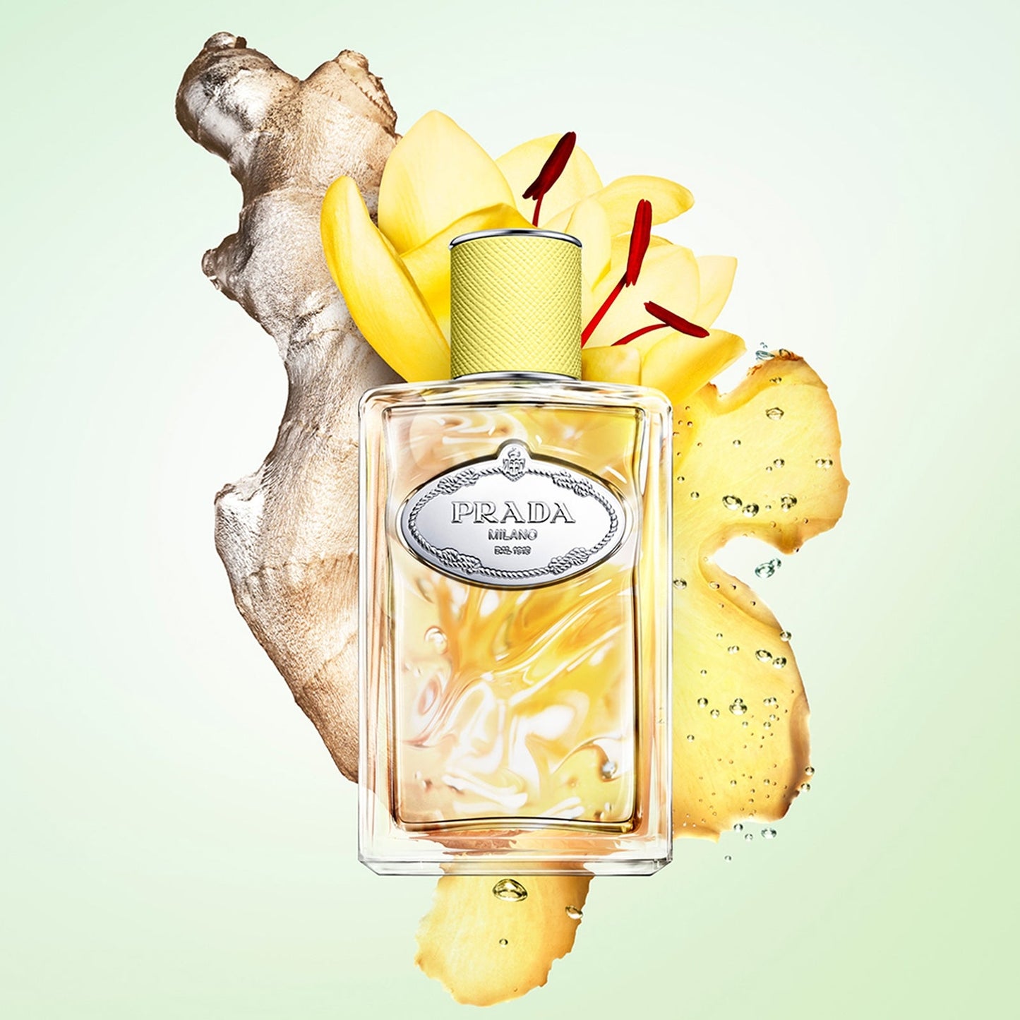 Prada Les Infusions Infusion de Gingembre