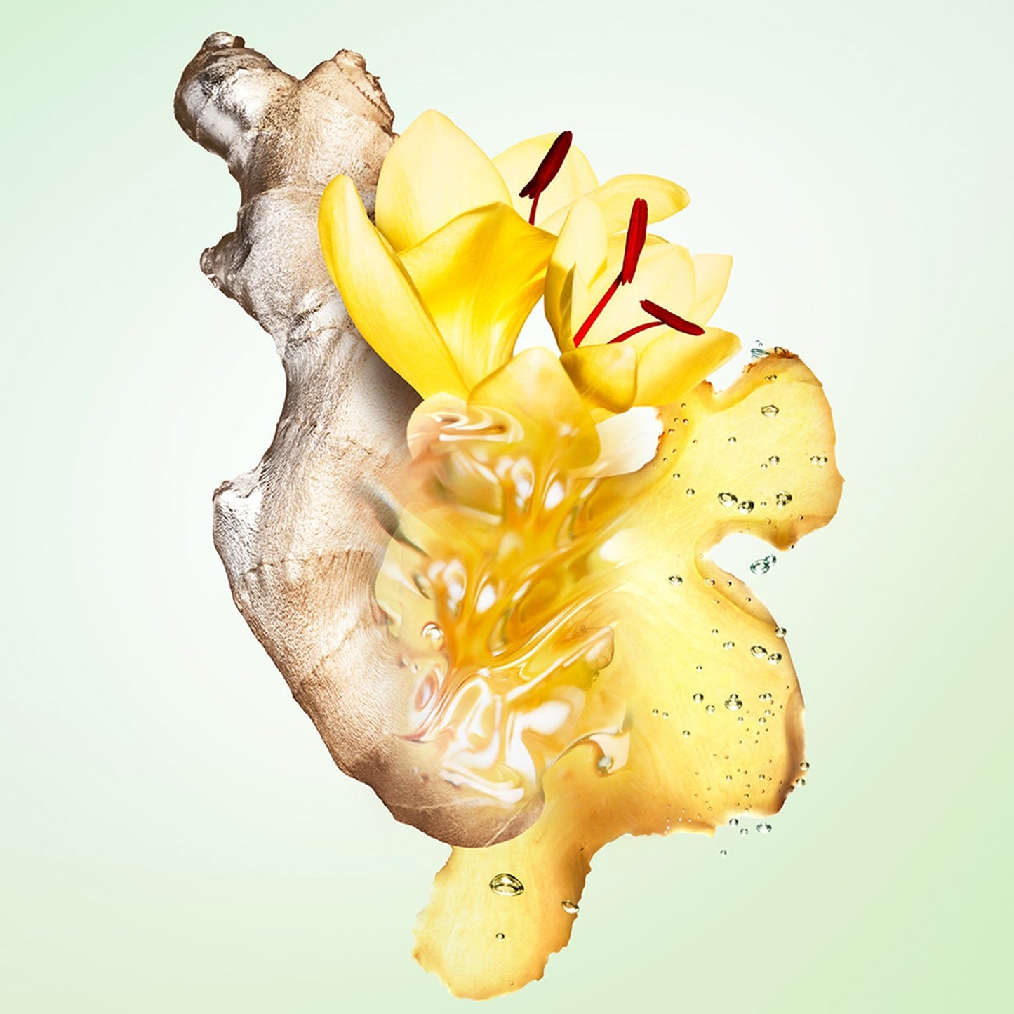 Prada Les Infusions Infusion de Gingembre