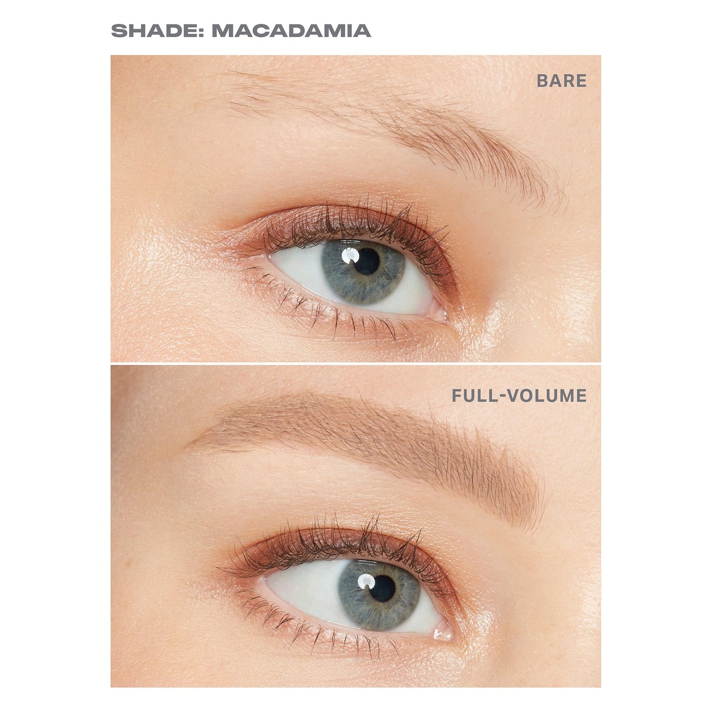 Morphe Brow Tease Fiber-Infused Volumizing Mousse