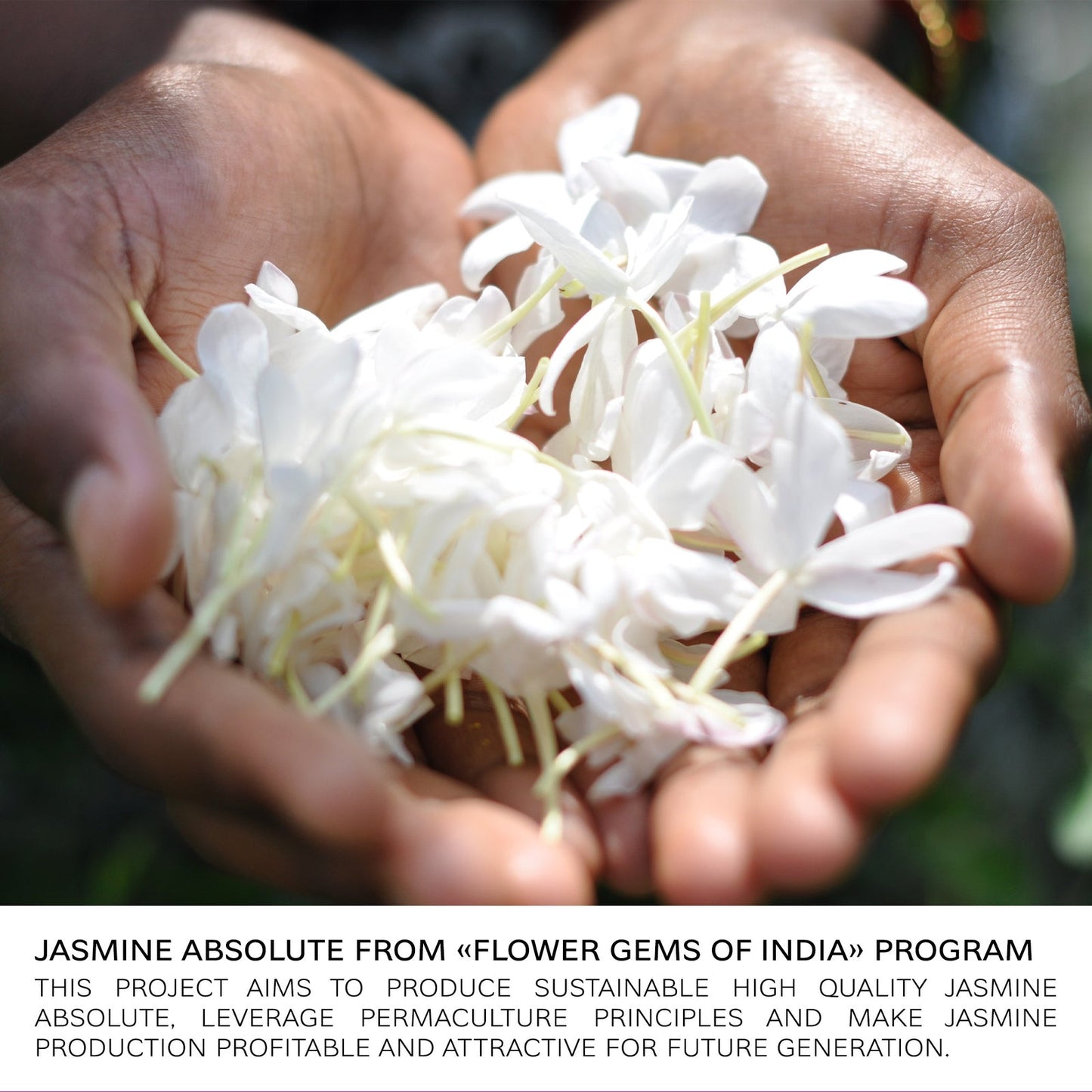 BVLGARI Omnia Crystalline