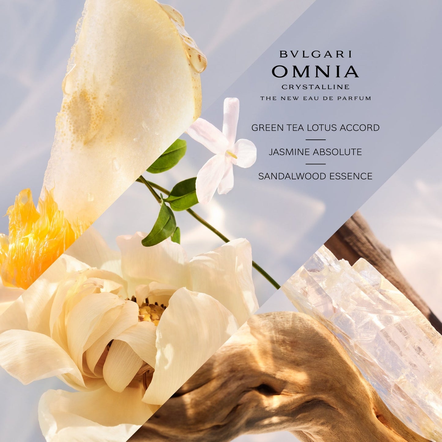 BVLGARI Omnia Crystalline