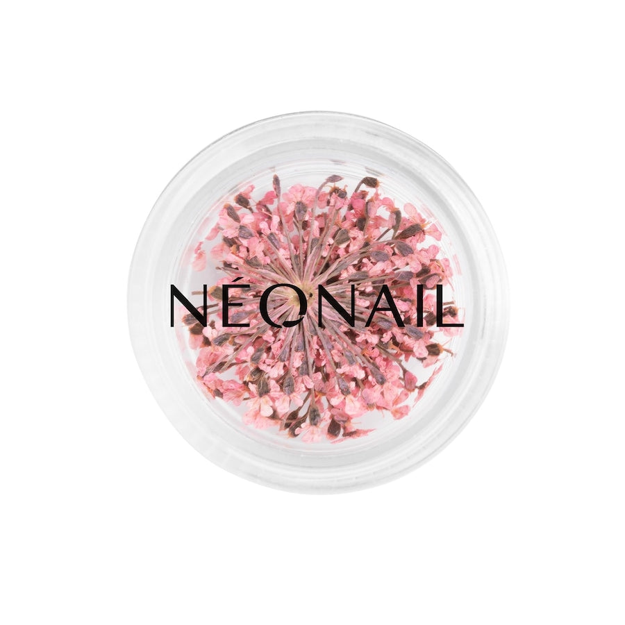 NEONAIL The Muse in You Collection