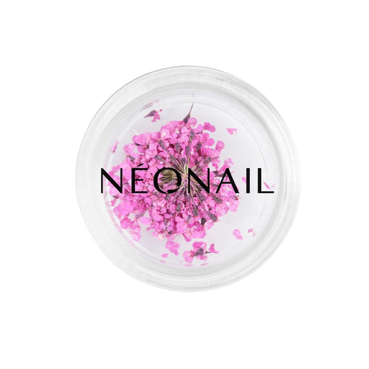 NEONAIL The Muse in You Collection